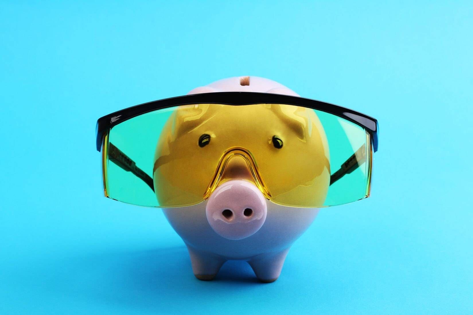 Donate 1 LabPig